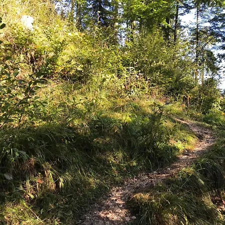 Planinski Dom - Mihov Dom Na Vrsicu Gasthuis *