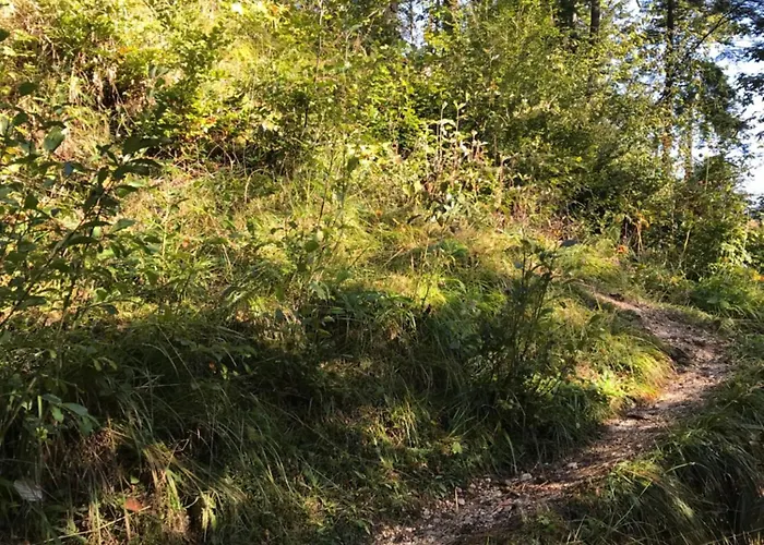 Planinski Dom - Mihov Dom Na Vrsicu Konukevi *